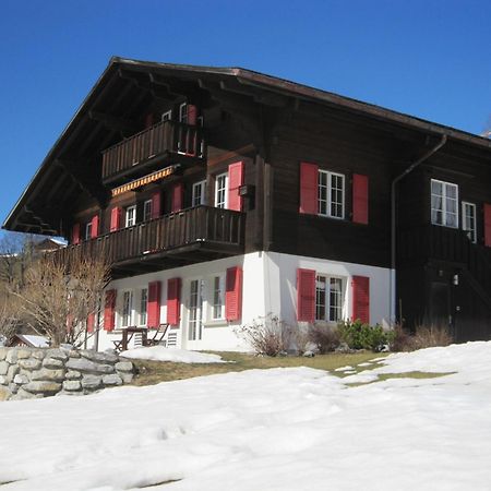 Chalet Aiiny Grindelwald Exteriér fotografie