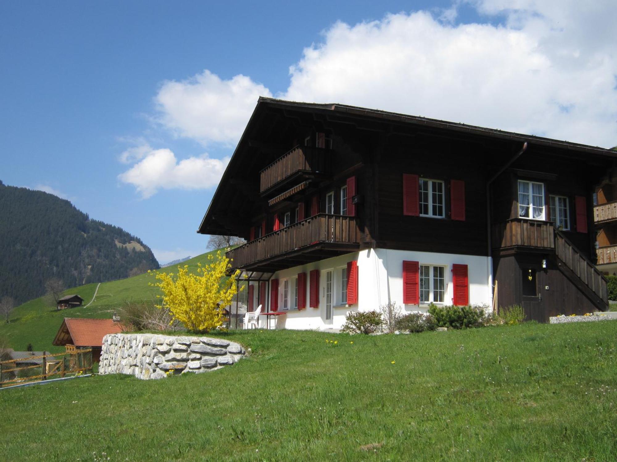 Chalet Aiiny Grindelwald Exteriér fotografie